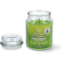 Citronella Kerze im Glas, 510ml Magische Lichter 85761
