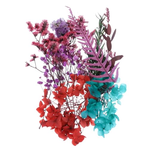 MAGICLULU 1 Schachtel Getrocknetes Blumenmaterialpaket Blume Selber Machen Natur Getrocknete Gepresste Blumen Getrocknete Blume Für DIY Kunsthandwerk Violett Getrocknete Blumen von MAGICLULU