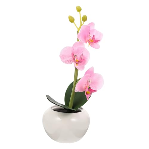 MAGICLULU Led Blumentopflicht Künstliche Orchideenlampe Rosa Blumentopf Wetterfest Für Garten Und Balkon Dekoratives Nachtlicht Geschenkidee Für Innen Und Außen MAGICLULU Led Blumentopflicht Künstliche Orchideenlampe Rosa Blumentopf Wetterfest Für Garten Und Balkon Dekoratives Nachtlicht Geschenkidee Für Innen Und Außen von MAGICLULU