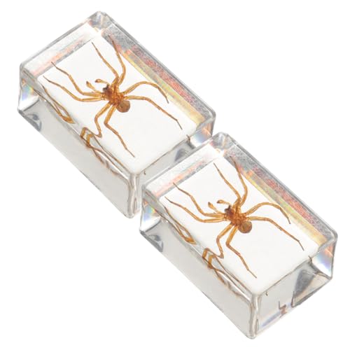 MAGICLULU 2 Stück Handgefertigter Briefbeschwerer mit Haariger Spinne aus Transparentem Hochwertigem Kunstharz Filigranes Insekten desktop ornament Detailreiche Dekorative Harzsammlung für von MAGICLULU