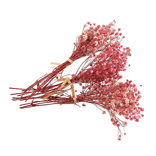 MAGICLULU 3 Bündel Getrockneter Blumenstrauß Getrocknetes Schleierkraut Babybreath- , Groß, Künstlich Bulk-vasen Geäst Braut Die Blumen Rosa Getrocknete Blumen. Haushalt von MAGICLULU