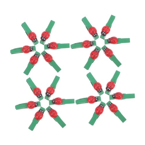 MAGICLULU 30 Stück Mini Holzklammern mit Marienkäfer-Motiv Kleine Büroklammern Handliche DIY-Kartenhalter für Büro Zuhause und Bastelprojekte Kompakt und Leicht Tragbar von MAGICLULU
