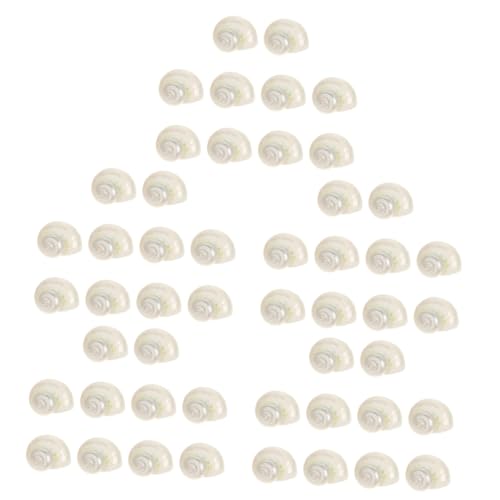 MAGICLULU 5 Sätze Teiliges Dekorationsset Für Aquarien Natürliche Couch Schalen Für Fischbecken Lebensraum Für Einsiedlerkrebse Aquarien Dekoration 10 Stück * 5 von MAGICLULU