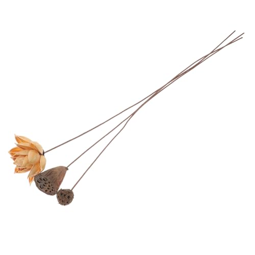 MAGICLULU Getrocknete Lotusblüte mit Stiel Zen Inspirierte Trockenblumen Deko für Tisch Wohnzimmer Büro Hochzeit Chinesischer Stil Natürliche Raumgestaltung von MAGICLULU