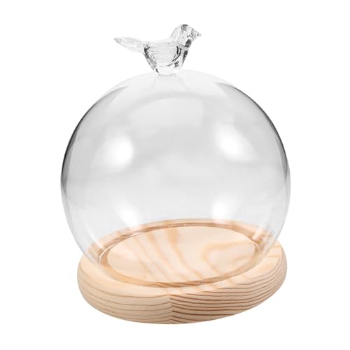 MAGICLULU Glas Dome mit Holzsockel Dekorative Glasvitrine für Mikro landschaften Staubgeschützte Glasabdeckung Kugelförmige Glasglocke für Trockenblumen Modernes Wohnaccessoire MAGICLULU Glas Dome mit Holzsockel Dekorative Glasvitrine für Mikro landschaften Staubgeschützte Glasabdeckung Kugelförmige Glasglocke für Trockenblumen Modernes Wohnaccessoire von MAGICLULU