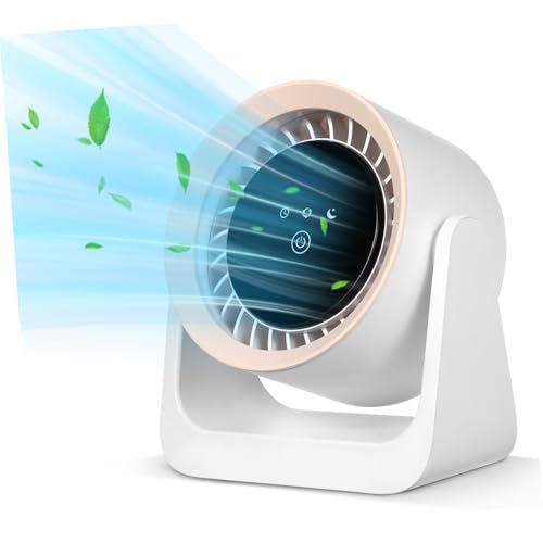 MAGICLULU Kleiner Tischventilator mit Eisfach Mehrstufig Verstellbar Tragbarer USB Zirkulationsventilator für Büro und Reisen Leise Tischventilation für Heiße Sommertage von MAGICLULU