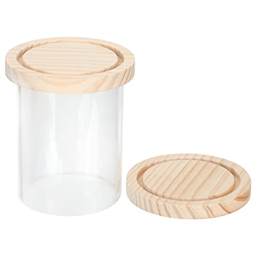 MAGICLULU Modellkasten Vitrine Für Actionfiguren Transparente Display Box Mit Stabilen Dicken Platten Für Sichere Aufbewahrung Und Präsentation Von Sammlerstücken von MAGICLULU