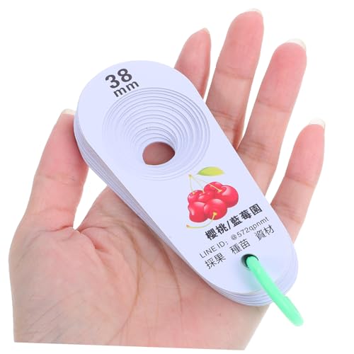 MAGICLULU Präzises Frucht-messgerät Kunststoff Messlehre Für Kirschen Blaubeeren Und Obst Einstufung Leicht Tragbar Und Einfach Zu Reinigen von MAGICLULU