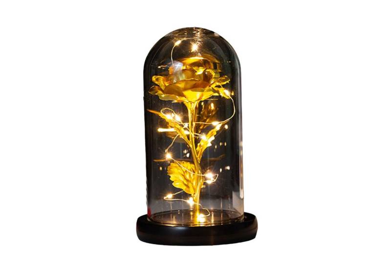 Kunstblume Konservierte Rose mit LED-Licht und Glasabdeckung, MAGICSHE von MAGICSHE