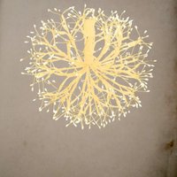 Ramo sfera rich d30 weiß 384l Ramo sfera rich d30 weiß 384l von MAGIEDINATALE