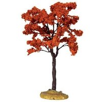 Yellowwood Tree, Medium Art.-Nr. 44799 von MAGIEDINATALE