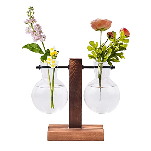 Magiin Deko Holz Halter mit Hydroponik Hängevase Glasvase Blumenvase Tischvase Dekovase Holz Halter (C) von MAGIIN