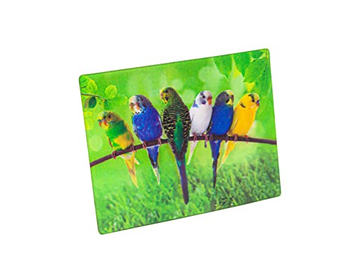 3 D Magnet Wellensittiche 9x7cm Kühlschrankmagnete Tiere Haustiere Vögel von MAGNETE.COM