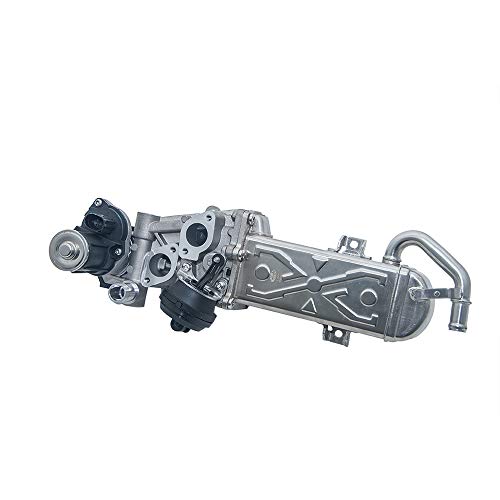 Magneti Marelli 571822112060 - AGR-Ventil von Magneti Marelli