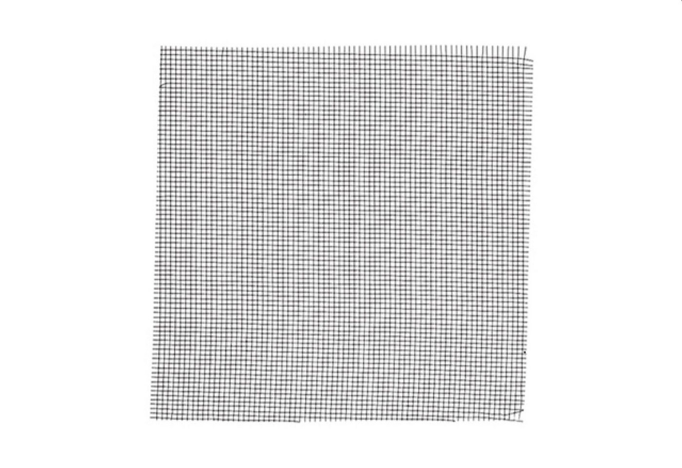 MAICO Lüftungsgitter Fliegengitter FG 100, für AP 100 oder SG 100 MAICO Lüftungsgitter Fliegengitter FG 100, für AP 100 oder SG 100 von MAICO