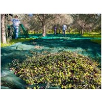 Maillestore - Erntenetz 95gr/m - 8m x 100m - Grun Maillestore - Erntenetz 95gr/m - 8m x 100m - Grun von MAILLESTORE