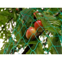 Maillestore - Vogelschutznetz - 25 mm Maschenweite - Große Maße Grün 4 m x 100 m Maillestore - Vogelschutznetz - 25 mm Maschenweite - Große Maße Grün 4 m x 100 m von MAILLESTORE