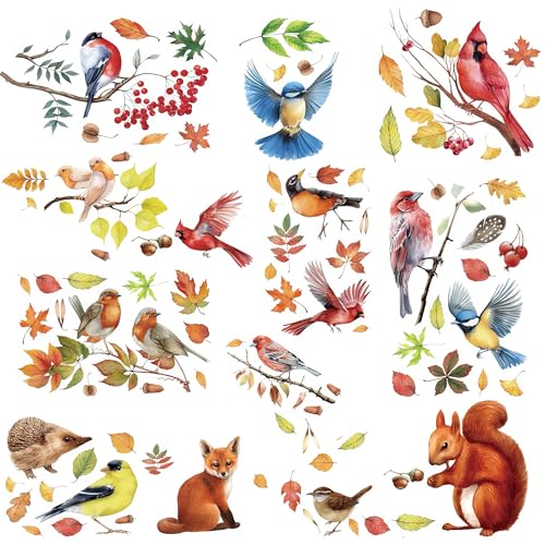 Fensterbilder Herbst Vögel Selbstklebende Fensterdeko Herbst Fensterbilder Blumen Schmetterlinge Sommer Fenstersticker Wiederverwendbar für Kinderzimmer Osterdeko von MAIREULB