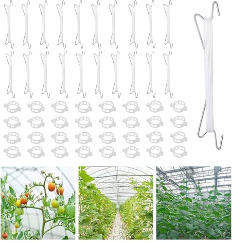 Tomatenhaken mit Kordel, 10 Stück Tomatenhaken Metall mit 50 Pflanzenschnallen und 10m Seil, Garten Tomatenhaken, zum Aufhängen von Tomaten und Gurken Tomatenhaken mit Kordel, 10 Stück Tomatenhaken Metall mit 50 Pflanzenschnallen und 10m Seil, Garten Tomatenhaken, zum Aufhängen von Tomaten und Gurken von MAIREULB