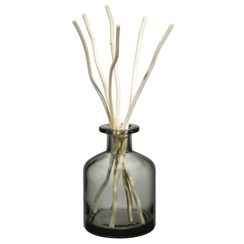 MAISON BERGER Raumduft Diffuser Aroma - Energy MAISON BERGER Raumduft Diffuser Aroma - Energy von MAISON BERGER