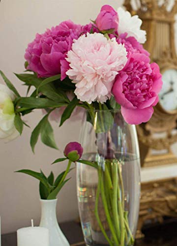 Maison Zoe Mundgeblasene und Handgefertigte Glasvase Amaryllis - 26cm Slim - Blumenvase - Deko & Hochzeit von Maison Zoe
