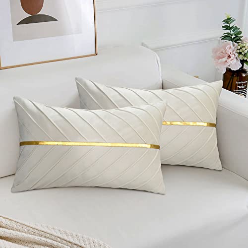 MAIXUN Beige Kissenbezug 30 x 50 cm 2er Set Deko Kissen Samt Zierkissenbezug Dekokissen Sofakissen Weich Couchkissen Kopfkissen Sitzkissen für Wohnzimmer Schlafzimmer Büro Auto Sofa von MAIXUN