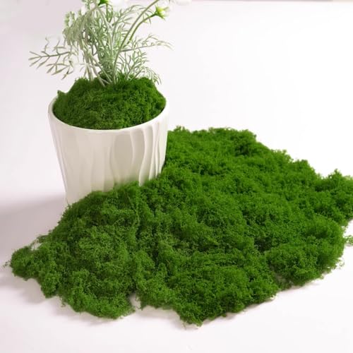 150 g künstliches Moos, künstliches grünes Moos, künstliches Moos für Topfpflanzen, Basteln, Feengärten, Hochzeitsfeier 150 g künstliches Moos, künstliches grünes Moos, künstliches Moos für Topfpflanzen, Basteln, Feengärten, Hochzeitsfeier von MAKIOTEKO
