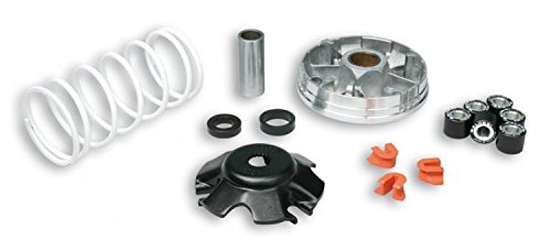 MALOSSI Dimmer Multivar 2000 D.19 Piaggio Zip SP 50 2T LC 2001 Transparent Rotary Potentiometer Manuell 1-Weg Panel Montage Kupfer Klammer 1 Stück IP20 1 Stück MALOSSI Dimmer Multivar 2000 D.19 Piaggio Zip SP 50 2T LC 2001 Transparent Rotary Potentiometer Manuell 1-Weg Panel Montage Kupfer Klammer 1 Stück IP20 1 Stück von MALOSSI