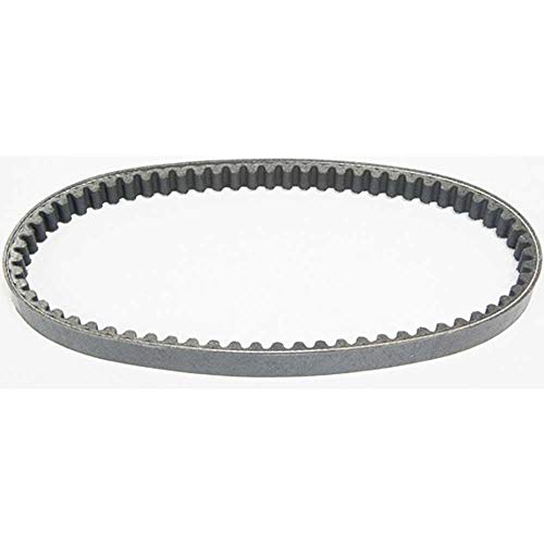 MALOSSI Keilriemen verstärkt 18,0x669mm K. X Chinaroller10 6113397 Motorrad von MALOSSI