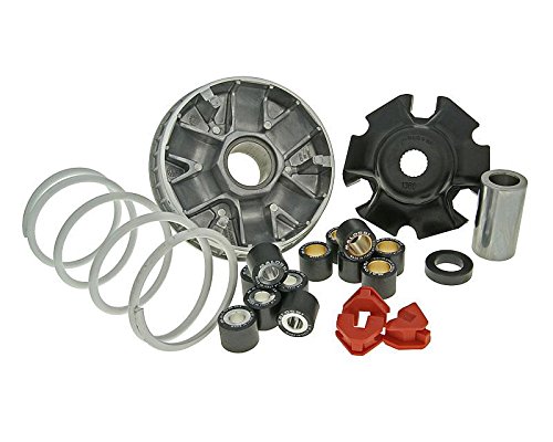 Variomatik MALOSSI Multivar Rotax kompatibel mit Aprilia Leonardo 125 150 Tuning Variator Variomatik MALOSSI Multivar Rotax kompatibel mit Aprilia Leonardo 125 150 Tuning Variator von MALOSSI
