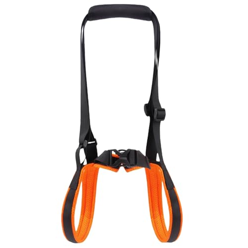 Hilfsgurt für Hinterbeine, Rehabilitationsgurt, Balance-Geschirr für Hinterbeine, Behinderte, ältere Hunde, Hebegeschirr für schwache Beine, kleines Heben, schwache Beine, Ganzkörpertraining Hilfsgurt für Hinterbeine, Rehabilitationsgurt, Balance-Geschirr für Hinterbeine, Behinderte, ältere Hunde, Hebegeschirr für schwache Beine, kleines Heben, schwache Beine, Ganzkörpertraining von MALSSE