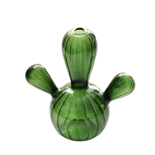 Kaktus-Glasvase, Raumdekoration, klare Hydrokultur-Pflanze, kleine dekorative Desktops, Ornament, Geburtstagsgeschenk, Blumenvase Kaktus-Glasvase, Raumdekoration, klare Hydrokultur-Pflanze, kleine dekorative Desktops, Ornament, Geburtstagsgeschenk, Blumenvase von MALSSE