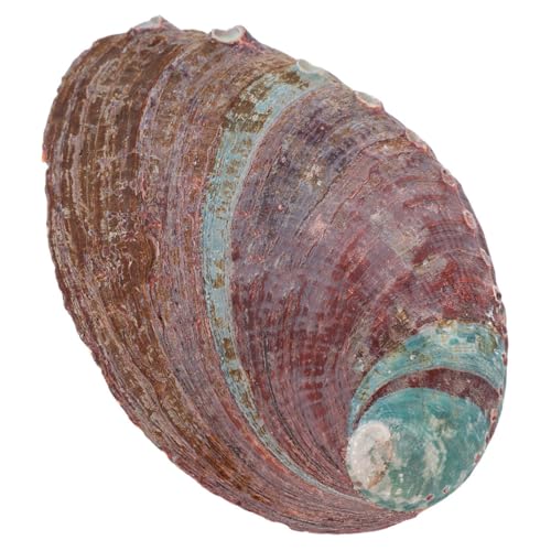 MALUGOGO Natürlicher Abalone-Schalen-Aromatherapie-Ständer, vielseitiger Behälter für Räucherstäbchen und Verschmieren, Dekoration, leicht zu reinigen und platzsparend, Aromatherapie-Zubehör von MALUGOGO