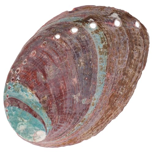 MALUGOGO Natürlicher rauer Abalone-Schalen-Räucherstäbchenhalter mit Luftstrom-Poren, Grasbrennbehälter und Tempel-Ornament, Aromatherapie-Ständer für Zuhause und Büro von MALUGOGO