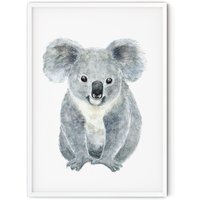 Kunstdruck Koala von MALUUshop
