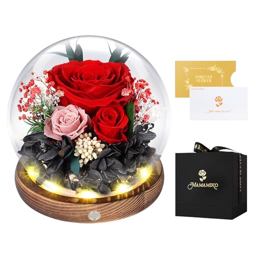 MAMAMIKO Ewige Rosen im Glas mit Led Licht, Infinity Rose, Konservierte Rosen Echt Blume, Geschenk für Frauen Mama Freundin, Valentinstag Jahrestag Geburtstag Muttertag, Rote Rose Geschenk für Sie MAMAMIKO Ewige Rosen im Glas mit Led Licht, Infinity Rose, Konservierte Rosen Echt Blume, Geschenk für Frauen Mama Freundin, Valentinstag Jahrestag Geburtstag Muttertag, Rote Rose Geschenk für Sie von MAMAMIKO