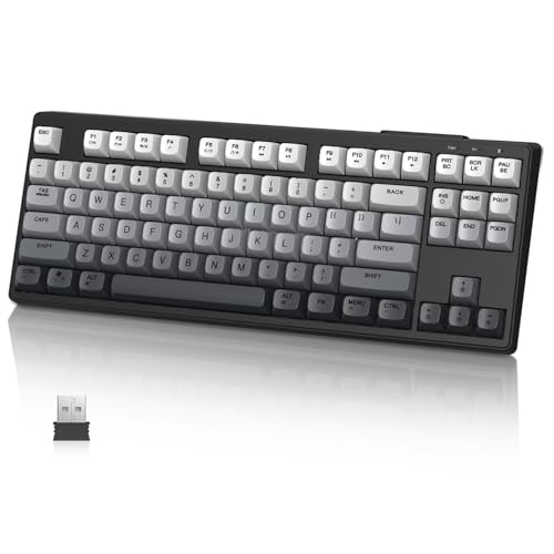 MAMBASNAKE M87 TKL 87 Tasten – Kabellose Gaming-Tastatur mit Dual-Modus, Bluetooth/2,4 GHz, 4000-mAh-Akku, Membran-Tastatur mit Regenbogen-Hintergrundbeleuchtung Schwarz von MAMBASNAKE