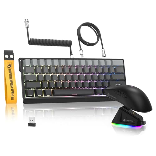 MAMBASNAKE x Attack Shark X60HE Rapid Trigger Kabellose Tastatur & X11 Gaming-Maus mit 8K-Spiralkabel, QWERTY RGB-Tastatur mit 0,01mm RT Magnetschalter, 22K-DPI-PixArt-PAW3311-Sensor Maus - Grau von MAMBASNAKE
