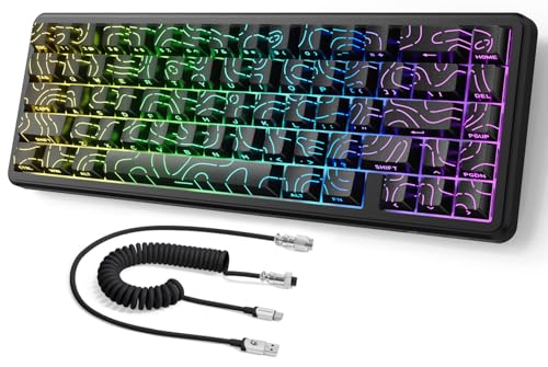 MAMBASNAKE ATTACK SHARK X65 HE Rapid Trigger-Tastatur, 0,01mm RT-Genauigkeit, 8KHz, 60% Kabelgebundene Magnetschalter-Tastatur mit 8KHz-Kabel,Einstellbare Betätigung,SnapTap,für PC/Mac,Schwarze Kontur von MAMBASNAKE