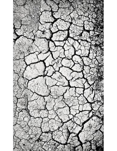 MANI TEXTILE TPS_PEBB_GRI_160 Teppich, Polyester, 160 x 230 cm MANI TEXTILE TPS_PEBB_GRI_160 Teppich, Polyester, 160 x 230 cm von MANI TEXTILE