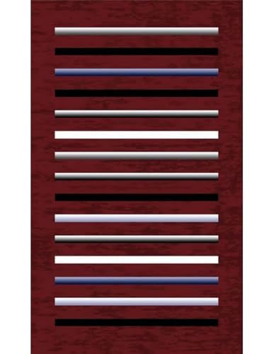 Mani TEXTILE TPS_RAY_BOR200 Teppich, Polyester, Rot, 200 x 290 von MANI TEXTILE