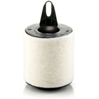 Luftfilter C1361 Mann von MANN FILTER