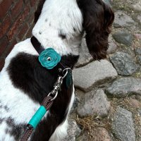 Halsband Lederblume - Viele Farben Schmuck Gummiband-Breite Wählbar Zur Auswahl Handgemacht von MANUFACTICAstore