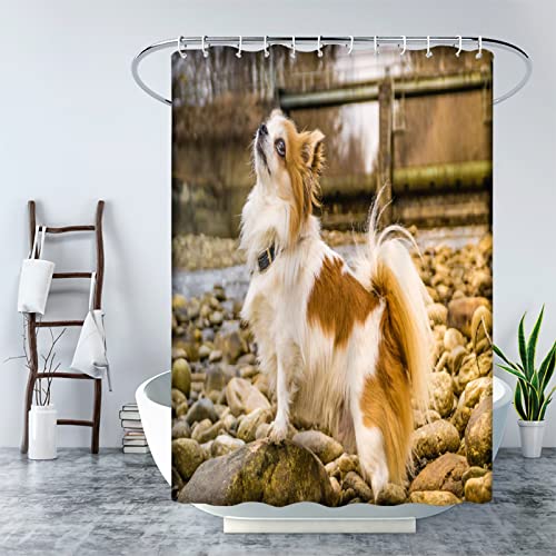 MAQUE Duschvorhang 200x200 Buff Papillon Badvorhang 3D Polyester Anti-Schimmel Wasserdichtmit Duschvorhänge C-Haken für Badezimmer von MAQUE