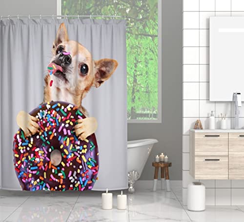 MAQUE Duschvorhang 200x200 Grauer Chihuahua Badvorhang 3D Polyester Anti-Schimmel Wasserdichtmit Duschvorhänge C-Haken für Badezimmer von MAQUE