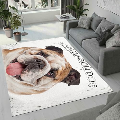 MARBRE Bulldogge Teppich Wohnzimmer Schlafzimmer 3D Tier Hunde Teppiche rutschfest Waschbarer Kurzflor Teppich Grösse 80x120 cm Flauschig Weich Soft Home Outdoor Carpet Matte(Image 1-17) von MARBRE