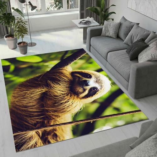 MARBRE Faultier Teppich Wohnzimmer Schlafzimmer 3D Süße Tier Teppiche rutschfest Waschbarer Kurzflor Teppich Grösse 120x160 cm Flauschig Weich Soft Home Outdoor Carpet Matte(Image 14-19) von MARBRE