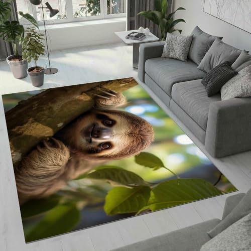 MARBRE Faultier Teppich Wohnzimmer Schlafzimmer 3D Süße Tier Teppiche rutschfest Waschbarer Kurzflor Teppich Grösse 60x90 cm Flauschig Weich Soft Home Outdoor Carpet Matte(Image 15-4) von MARBRE