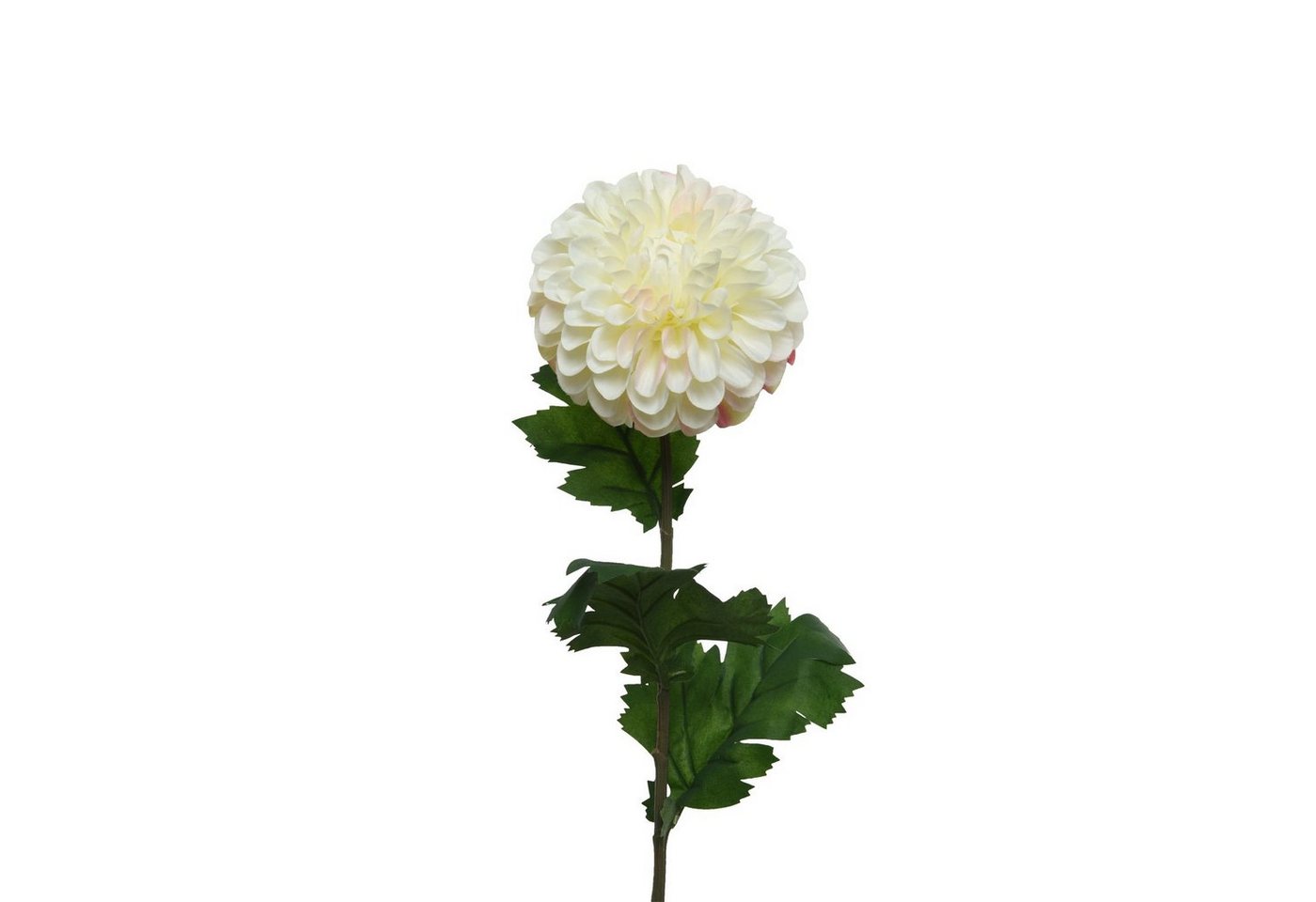 Kunstblume Dahlie am Stiel Pompon Kunstblume Stielblume Dekoblume H: 75cm creme, MARELIDA, Höhe 75 cm von MARELIDA
