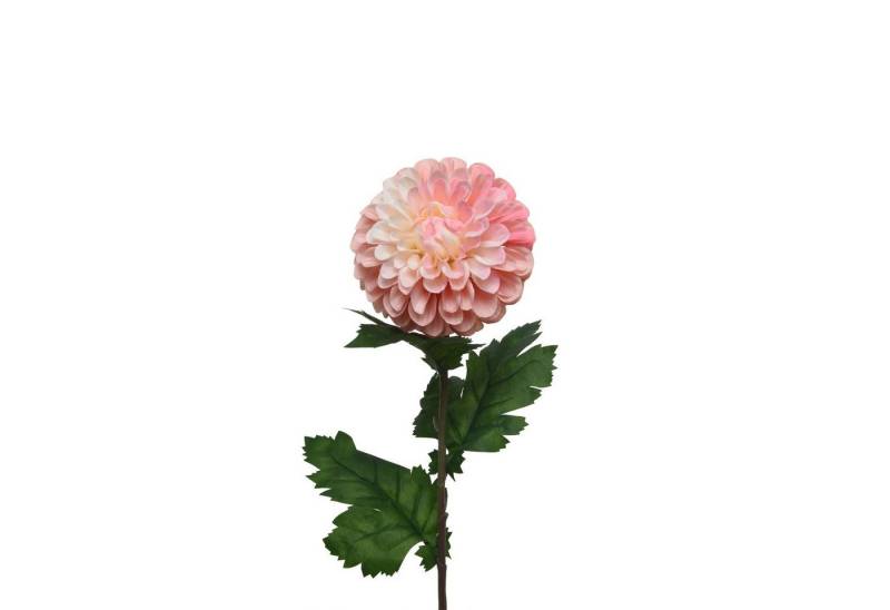 Kunstblume Dahlie am Stiel Pompon Kunstblume Stielblume Dekoblume H: 75cm rosa, MARELIDA, Höhe 75 cm von MARELIDA
